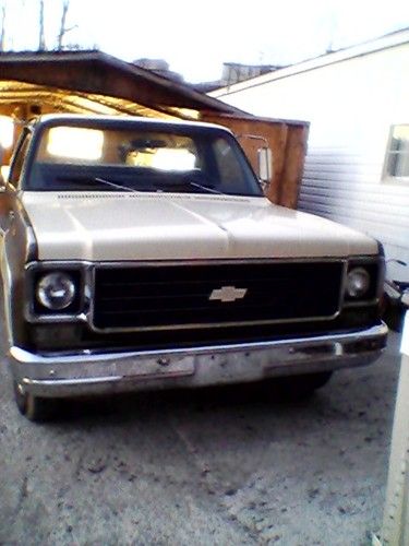 1975 chevy truck