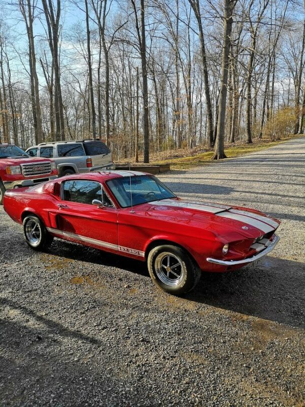 1968 ford mustang fastback gt 350