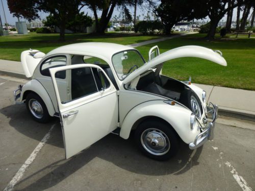 Extremely clean 67 bug !!!!!!!!!!!!
