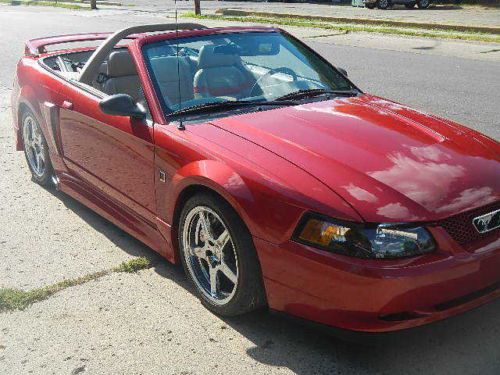 Beautiful 2001 roush stage 3 supercharged mustang convertible / 30k miles