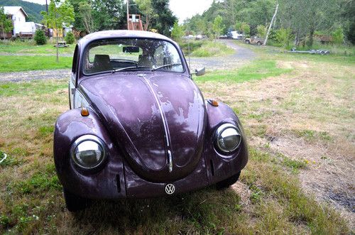 1972 volkswagen beetle - great condition!