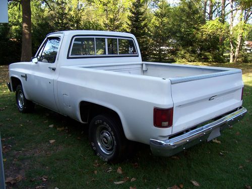 1984 chevy 2wd truck/chevy truck/swb pickup/clean great body/Rat project/NICE, image 1