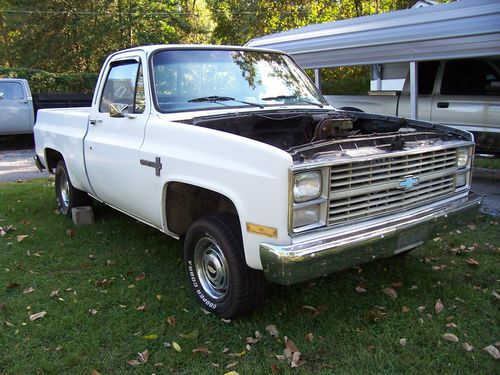 1984 chevy 2wd truck/chevy truck/swb pickup/clean great body/Rat project/NICE, image 2