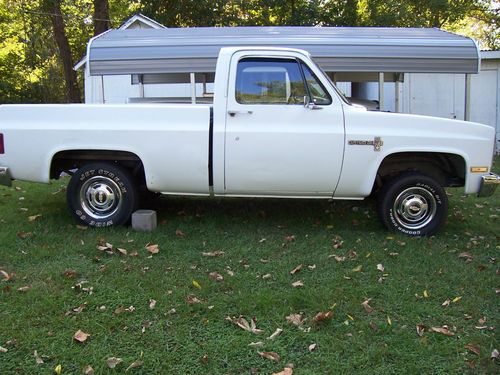 1984 chevy 2wd truck/chevy truck/swb pickup/clean great body/Rat project/NICE, image 4