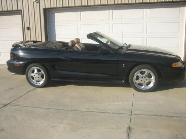 Ford: mustang cobra