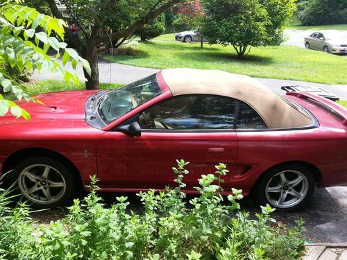 98 mustang cobra convertible!!! all original!! only 69k miles!! excellent carfax