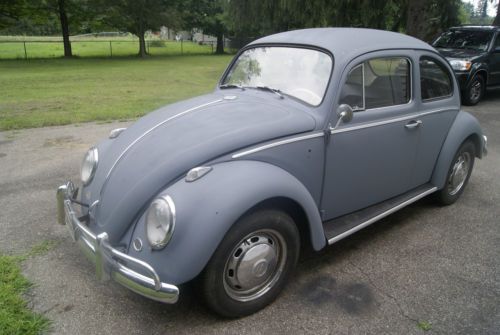 1964 vw beetle