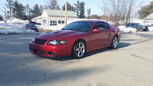 2003 mustang cobra terminator low miles with extras!