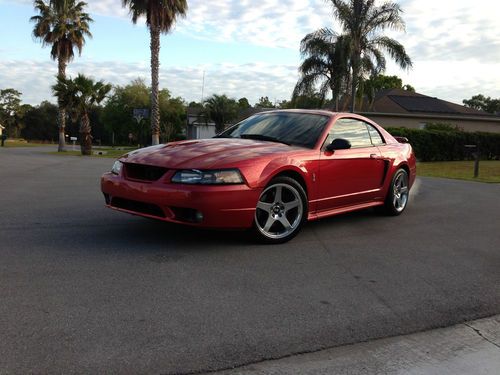 2001 ford mustang cobra 4.6l dohc low miles mint condition