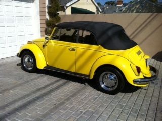 Vw convertible yellow bug