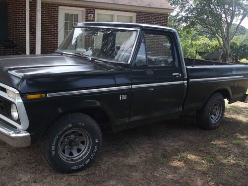 1976 ford f-100