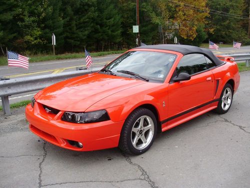 2001 ford mustang svt cobra convertible   low mileage