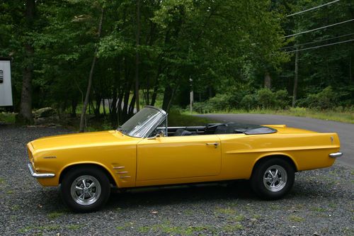 1963 pontiac lemans convertible