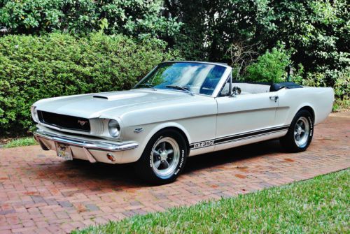 Best 1966 ford mustang gt 350 recreation i have ever seen driven please look wow