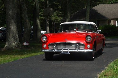 1955 ford thunderbird convertible for sale