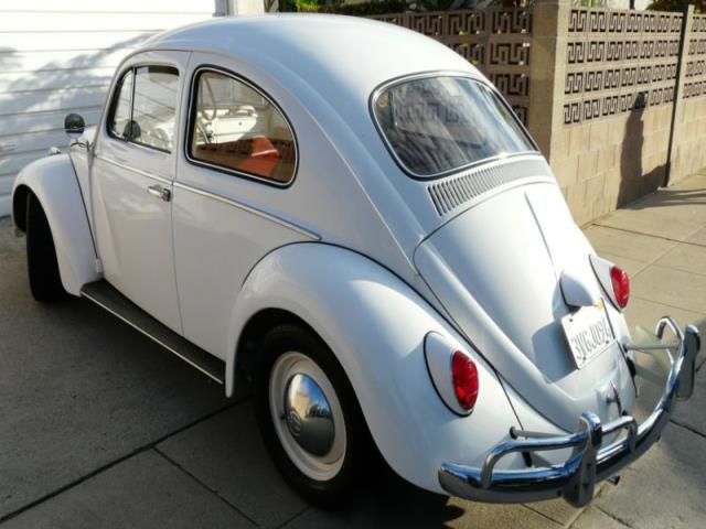 Volkswagen beetle - classic coupe