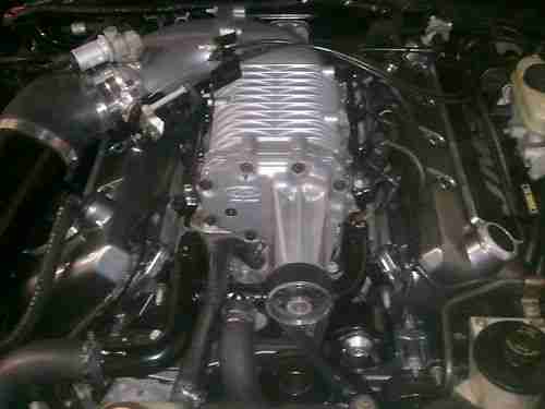 1999 Mustang Cobra MMR 1000 5.0 Stroker Eaton Supercharged 03 Clone, image 11