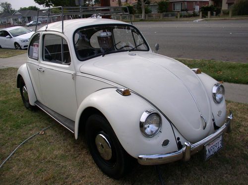 1965 volkswagen beetle / vw bug - classic