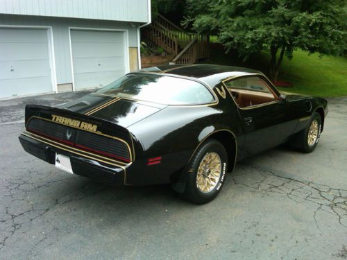 1979 Pontiac Firebird Transam Black And Gold Bandit Tribute, image 8