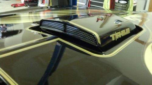 1979 Pontiac Firebird Transam Black And Gold Bandit Tribute, image 18