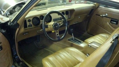 1979 Pontiac Firebird Transam Black And Gold Bandit Tribute, image 20