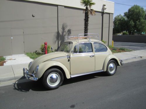 1965 vw bug