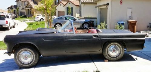 55 t bird needs restoration