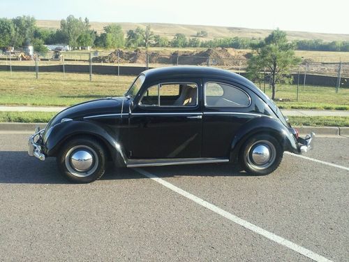 1963 volkswagen beetle