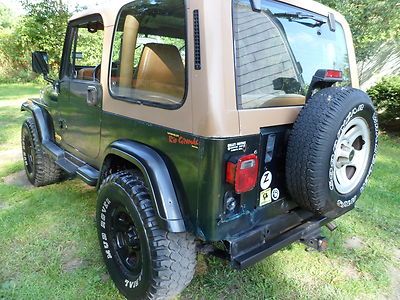 jeep 1995 wrangler engine liter 5speed cylinder rio 4x4 grande hard cars 2040