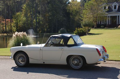 georgia mg midget angel eyes porn video