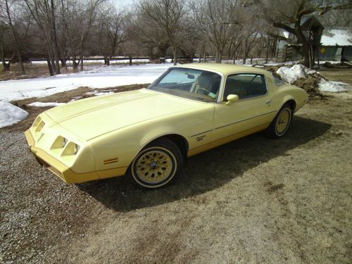 1980 pontiac firebird esprit coupe 2-door yellow bird edition