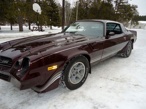 1981 chevy camaro z28, original 8-cyl 4bbl, 2-dr coupe w/t-tops