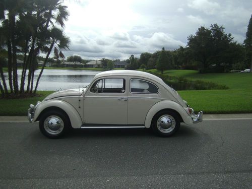 Absolutly gorgeous 1962 classic beetle--like new condition - beautiful car !