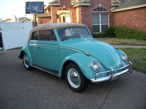 1964 old beetle