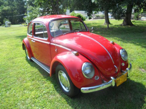1966 vw beetle - fully restored - show ready - 1500cc engine - 12 volt must see