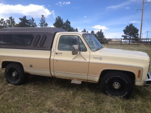 1977 chevy pick up, 454 with 4 speed.