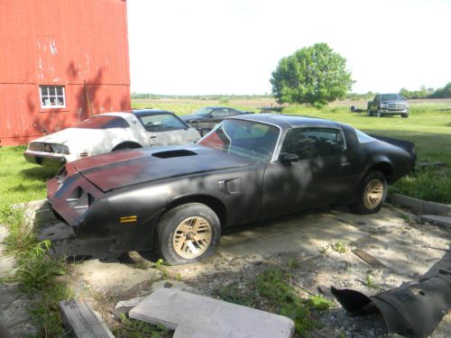 1980 trans am roller t-tops