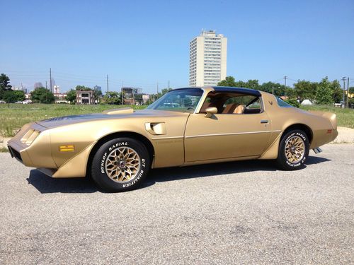 1979 pontiac trans am survivor