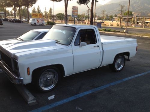 1979 chevy gmc pick up truck. classic in good running condition