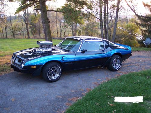 Used 1975 Supercharged 455 Trans Am In Lewisburg West Virginia 1975 Supercharged 455 Trans Am