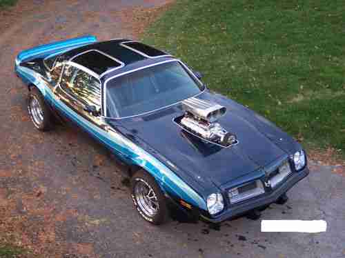 Buy used 1975 Supercharged 455 Trans AM in Lewisburg, West ...