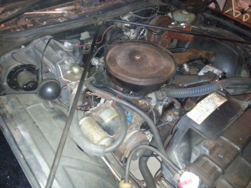True Cars Used >> Buy used 1976 Oldsmobile Cutlass 442 - Barn Find - Engine ... True Cars Used >> Buy used 1976 Oldsmobile Cutlass 442 - Barn Find - Engine ...