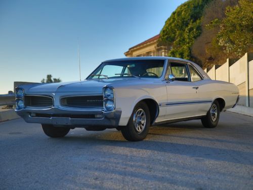 1966 pontiac lemans sprint ohc6 refreshed barn find from socal! no reserve!