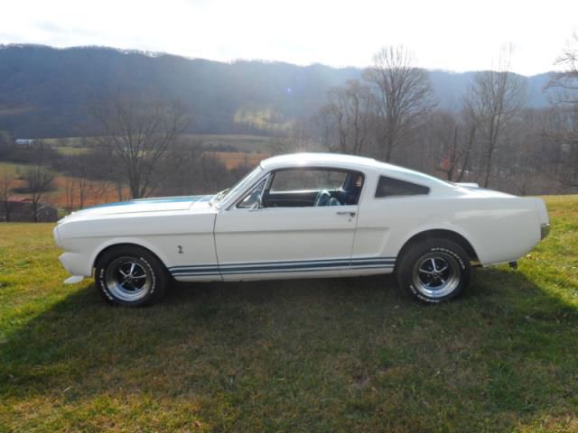 Ford: mustang fastback