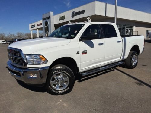 Lonestar diesel 6.7l crew cab four by four nerf bars pick up truck automatic 4wd