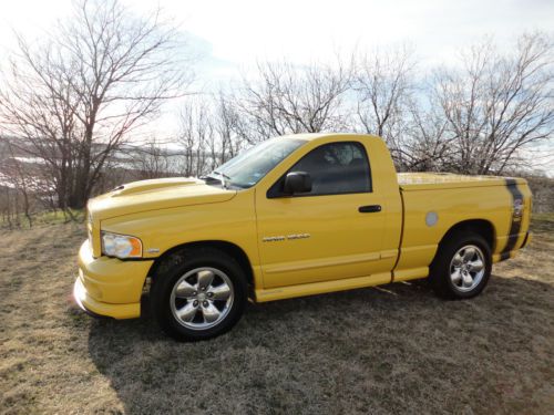 2004 dodge rumble bee