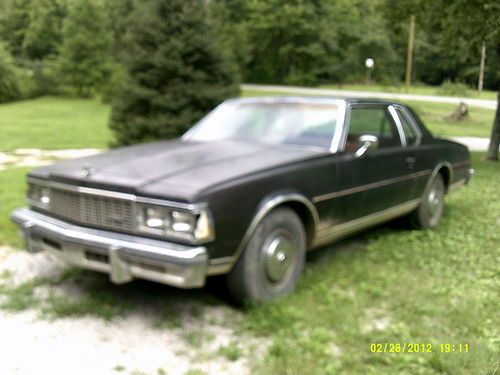1979 chevy caprice  old shine runners car