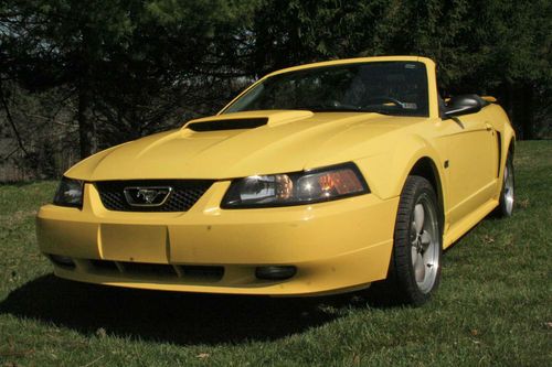Purchase used 2002 FORD MUSTANG GT CONVERTIBLE 5-SPEED in ... Purchase used 2002 FORD MUSTANG GT CONVERTIBLE 5-SPEED in ...