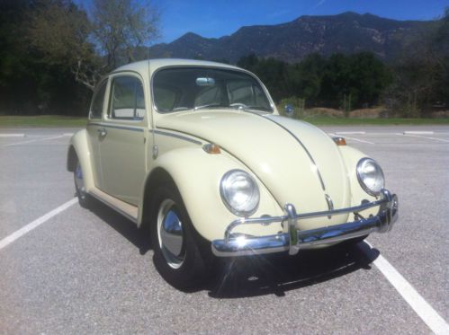 Immaculately restored 1965 panama beige classic vw beetle