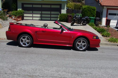2001 ford svt mustang cobra convertible,  laser tint red clearcoat